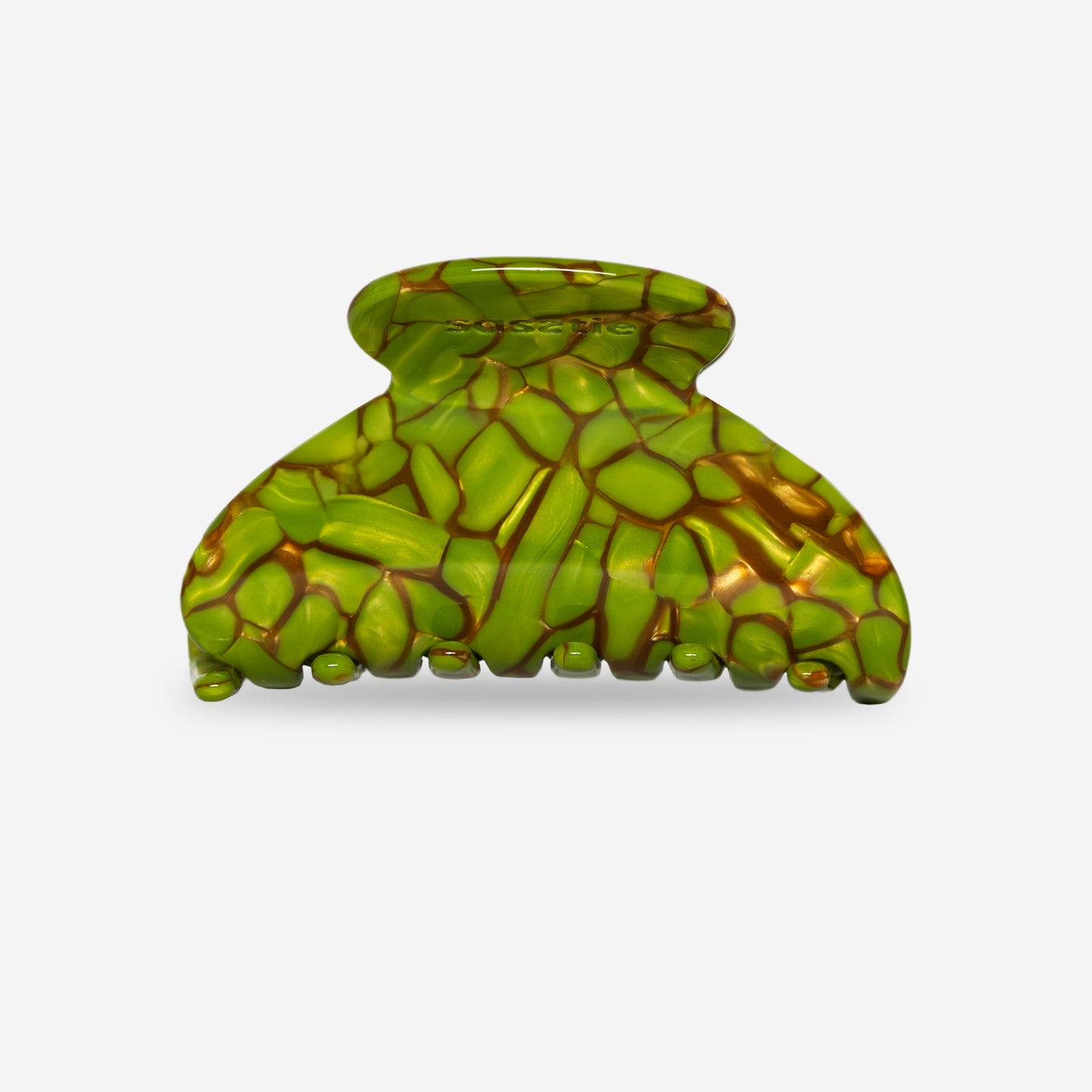 Mony Turtle