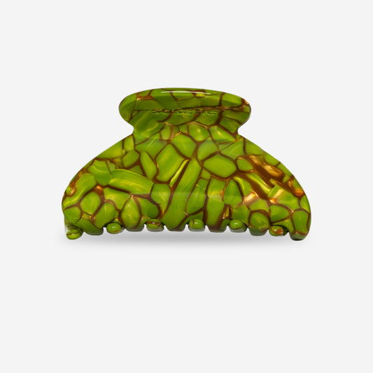 Mony Turtle