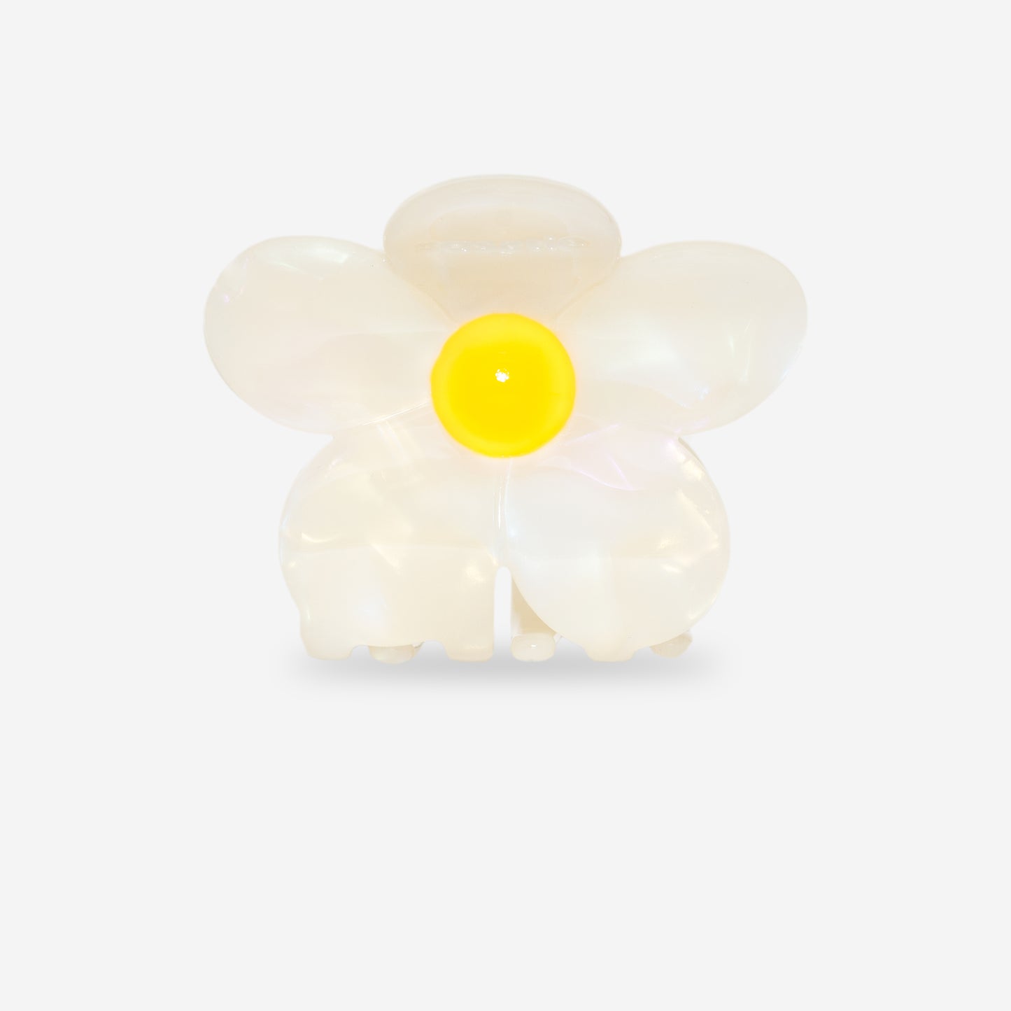 Flora Soleil