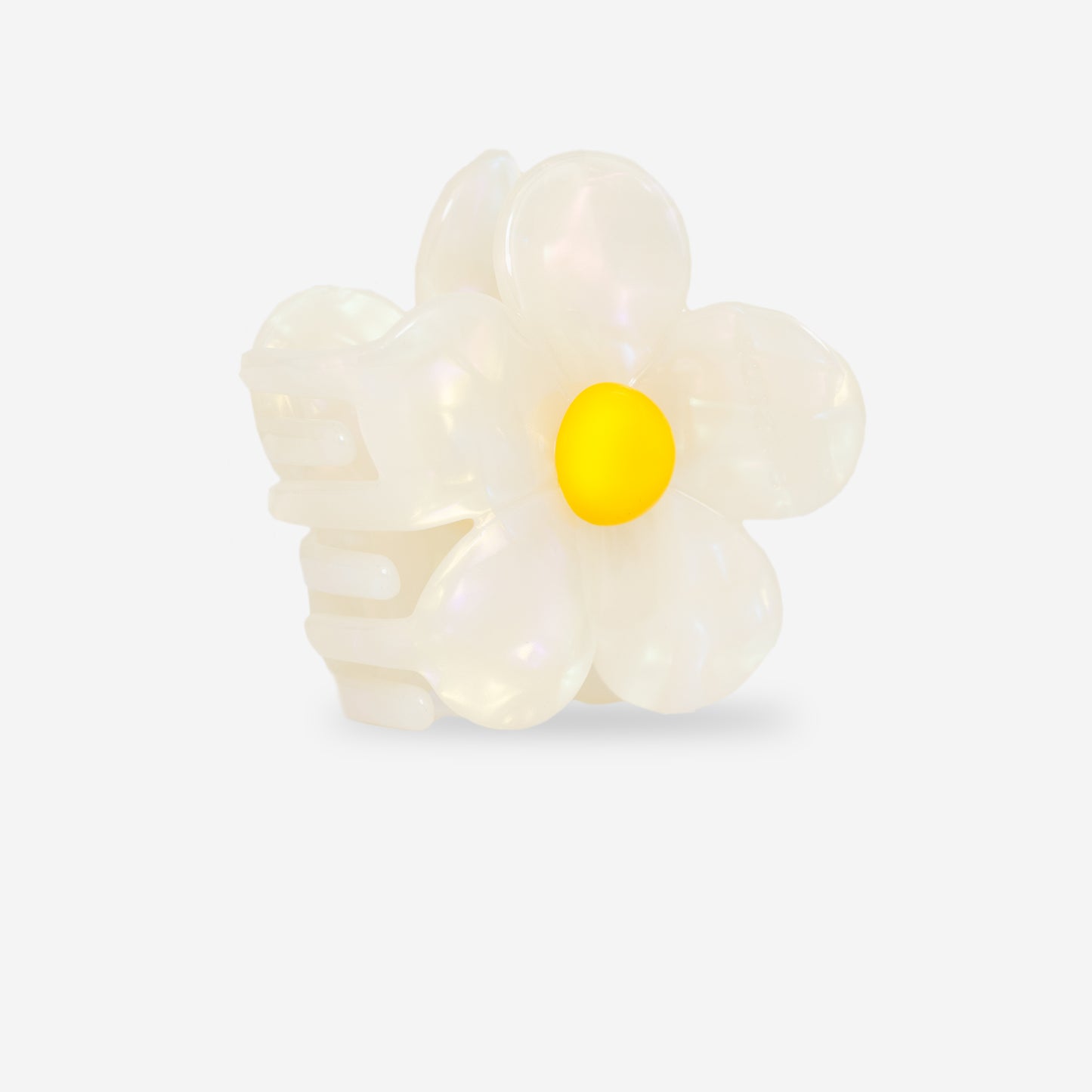 Flora Soleil